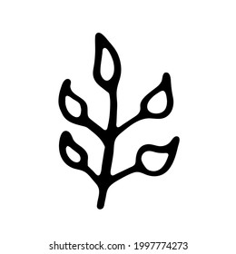 Tree branch with narrow leaves like willow or bush. Outline hand drawn sketch on white background. Minimalist doodle style. Isolated vector twig illustration, single element for natural floral design.