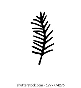 Rama de árbol con hojas estrechas como el sauce o el arbusto. Esbozo dibujado a mano de contorno sobre fondo blanco. Estilo de doodle minimalista. Ilustración vectorial aislada, elemento único para el diseño floral natural.