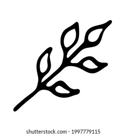 Tree branch with narrow leaves like willow or bush. Outline hand drawn sketch on white background. Minimalist doodle style. Isolated vector twig illustration, single element for natural floral design.