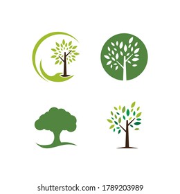 Tree branch nature element template vector illustration