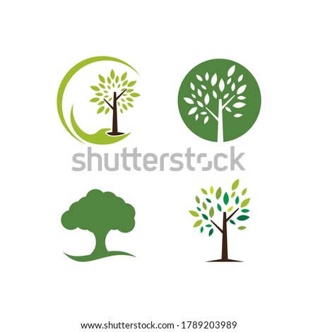 Tree branch nature element template vector illustration
