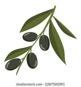 rama de árbol con icono de aceitunas aislado