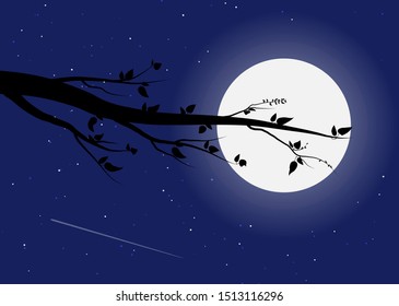 Tree branch on the background of the moon