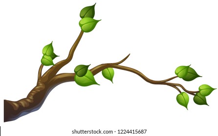 Tree branch on white background illustration