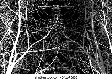 Tree branch on a white background. Vector 