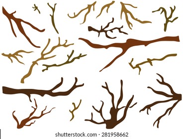 Tree branch package vector