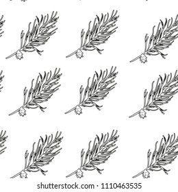 tree branch pattern vector illustration