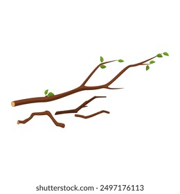 Tree branch pile with leaves and dry twigs in firewood collection vector illustration