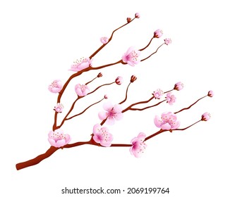 Rama de árbol con flores rosas. Florecimiento del cerezo de primavera