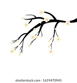 tree branch plant with flowers vector illustration design
