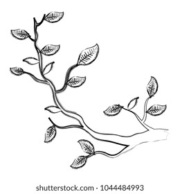 tree branch plant icon