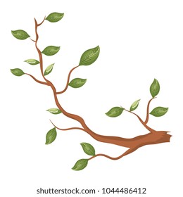 tree branch plant icon