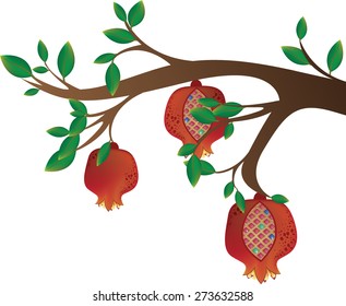 Tree branch with pomegranates