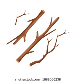 Tree Branch as Raw Material for Woodworking Industry Vector Illustration