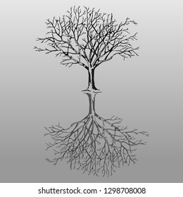 	Tree branch and root. Forest and garden landscape.