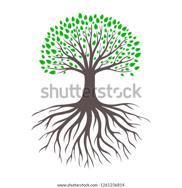 Tree Branch Root Forest Garden Landscape Stock Vector (Royalty Free ...