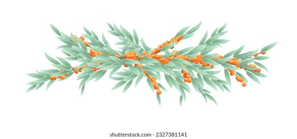 Tree branch sea buckthorn with ripe fruits. Garden plant with edible harvest. Branch with foliage and leaves. isolated on white background. Vector.