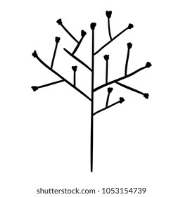 tree branch with seeds
