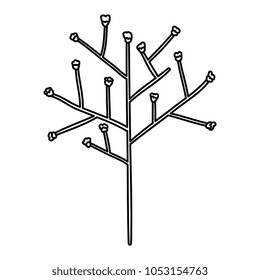 tree branch with seeds