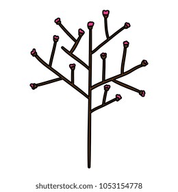 tree branch with seeds