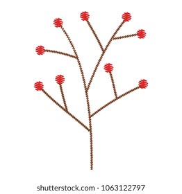 tree branch with seeds