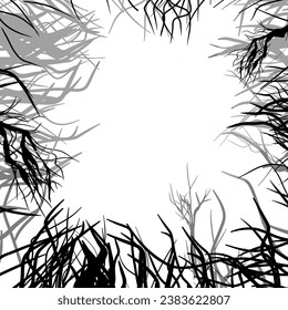 tree branch shoots from below frame the white background