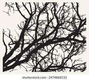 Tree Branch Silhouette abstract vector