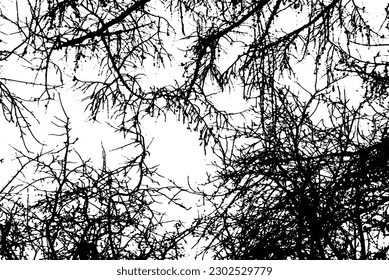 Tree branch silhouette on transparent background