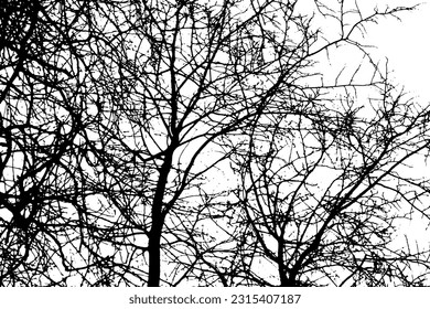 Baumzweig-Silhouette auf transparentem Hintergrund