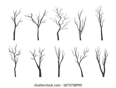 Tree branch silhouette set. Bare twisting stems of plants with various tracery forms of growth winter with no forest leaves dry plucked shoots with dead bark. Abstract vector outline.