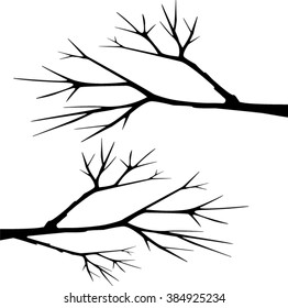 tree branch silhouette vector