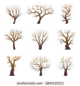 Siluetas de ramas de árbol. Árboles forestales abstractos sin hojas plantas naturales conjunto vector