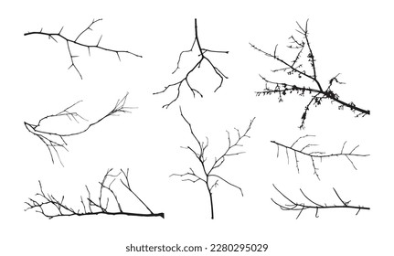 Tree branch silhouettes, dry winter oak. White spring landscape, bare leafless shapes, nature wood collection. Autumn black decor elements. Dead floral objects. Vector tidy outline forest