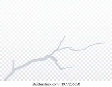 Tree branch, snag, bare tree silhouette isolated on transparent background. Realistic Grey shadow with empty space. Vector EPS10.