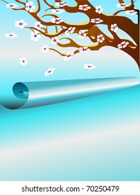 tree branch in the  spring
