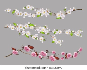 Tree branch, spring flowers 3d vector set