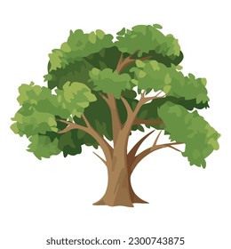 tree branch symbolize growth icon isolated