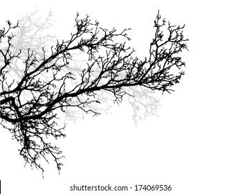 tree branch. Vector