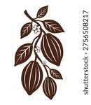 Сocoa tree branch vector flat illustration isolated on white background. Cocoa pods, beans elements with blooming flowers. Art for web and packaging graphic design.