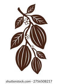 Сocoa tree branch vector flat illustration isolated on white background. Cocoa pods, beans elements with blooming flowers. Art for web and packaging graphic design.