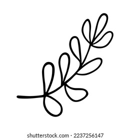 Tree branch vector icon. Hand drawn simple doodle isolated on white. Stem of herb with oval leaves. Forest, meadow, field or garden plant. Shrub twig sketch. Clipart for cards, cosmetics, logo, web