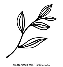 Tree Branch Vector Icon. Veins On Leaves With A Stem. Black Outline, Doodle. Hand Drawn Illustration Isolated On White. Botanical Sketch Of A Field, Forest, Garden Plant. Clipart For Cards, Posters