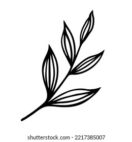 Tree branch vector icon. Veins on leaves with a stem. Black outline, simple doodle. Hand drawn line art isolated on white. Botanical sketch of a meadow, forest, garden plant. Clipart for cards, print