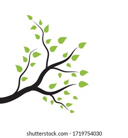 tree branch vector ilustration design template