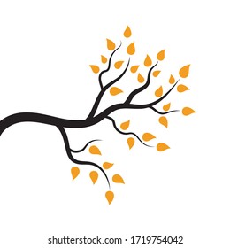 tree branch vector ilustration design template