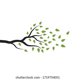 tree branch vector ilustration design template