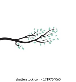 tree branch vector ilustration design template