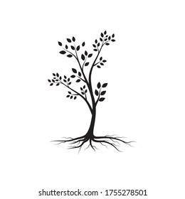tree branch vector ilustration design template