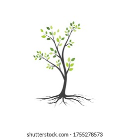 tree branch vector ilustration design template