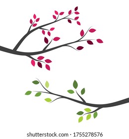 Tree Branch Vector Ilustration Design Template